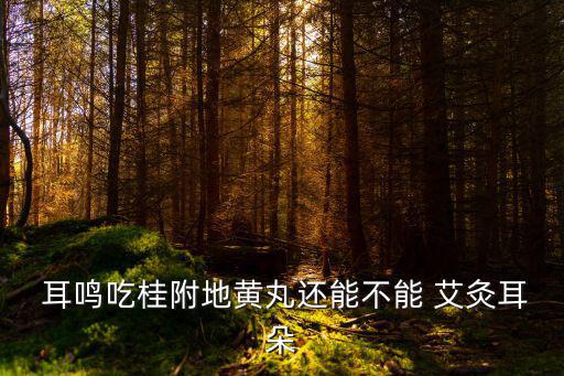  耳鳴吃桂附地黃丸還能不能 艾灸耳朵