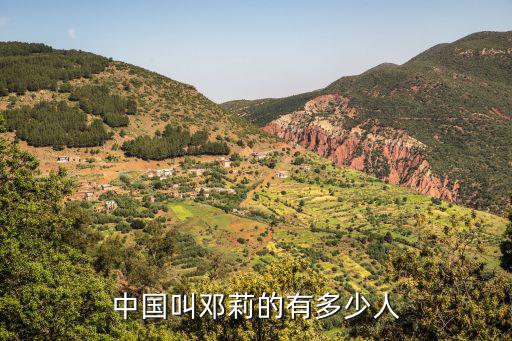 中國叫鄧莉的有多少人