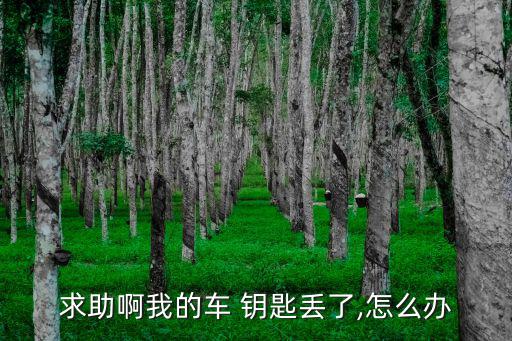 中國我的鑰匙丟了,汽車鑰匙知多少?問與答（14）