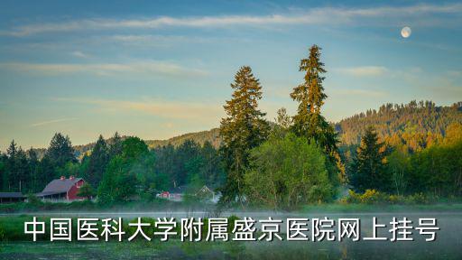 中國醫科大學附屬盛京醫院網上掛號