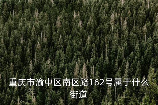 重慶市渝中區(qū)南區(qū)路162號屬于什么街道