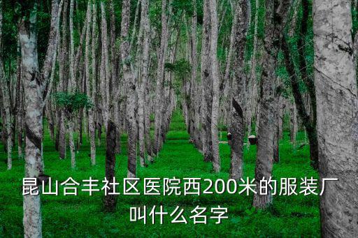 昆山合豐社區(qū)醫(yī)院西200米的服裝廠叫什么名字