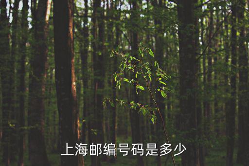江蘇省上海市的郵政編碼是多少，上海郵編號碼是多少
