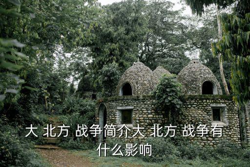 大 北方 戰爭簡介大 北方 戰爭有什么影響
