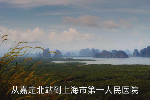 上海第一人民醫(yī)院分院嘉定，嘉定到上海第一人民醫(yī)院