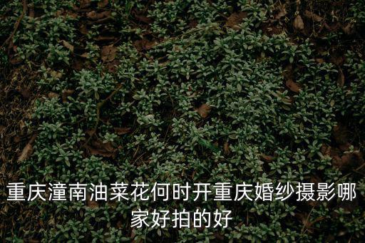 重慶潼南油菜花何時開重慶婚紗攝影哪家好拍的好