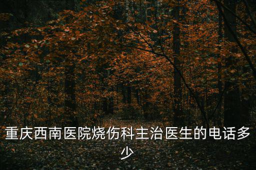 重慶西南醫(yī)院燒傷科主治醫(yī)生的電話多少