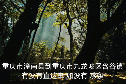 重慶市潼南縣到重慶市九龍坡區(qū)含谷鎮(zhèn)有沒有直達車 如沒有 求條