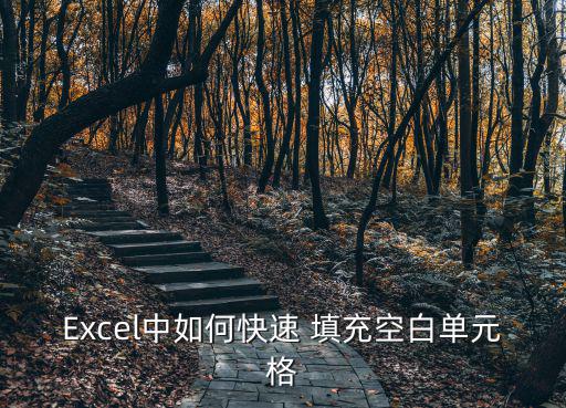 Excel中如何快速 填充空白單元格