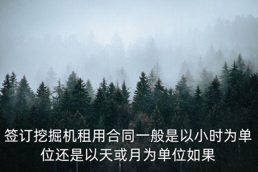 簽訂挖掘機租用合同一般是以小時為單位還是以天或月為單位如果