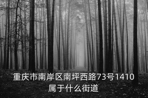 重慶市南岸區(qū)南坪西路73號(hào)1410屬于什么街道