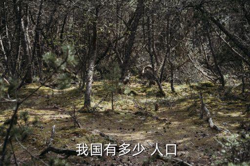  我國有多少 人口