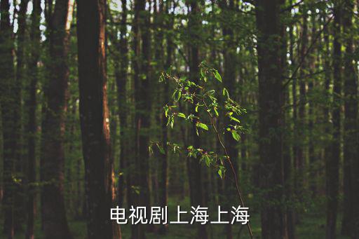 vr 上海，上海奧林巴斯VR310價格