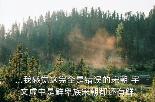 ...我感覺這完全是錯誤的宋朝 宇文虛中是鮮卑族宋朝都還有鮮