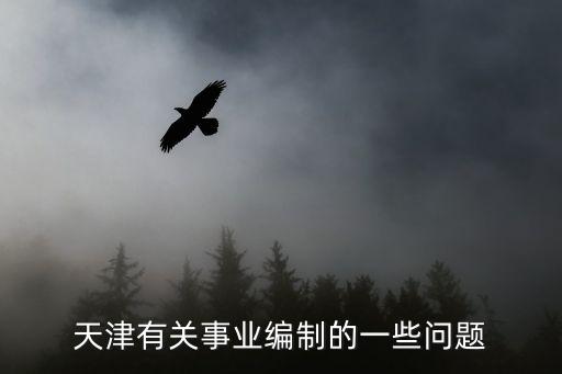 天津有關事業(yè)編制的一些問題
