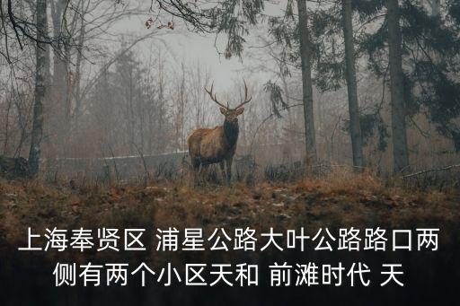 上海奉賢區 浦星公路大葉公路路口兩側有兩個小區天和 前灘時代 天
