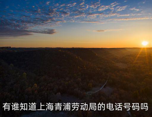 上海青浦勞動仲裁電話多少號，有誰知道上海青浦勞動局的電話號碼嗎