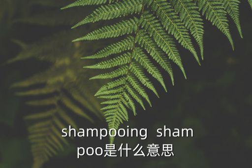  shampooing  shampoo是什么意思