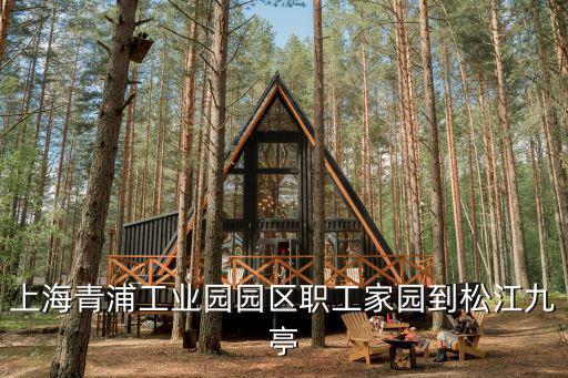 上海青浦工業園園區職工家園到松江九亭
