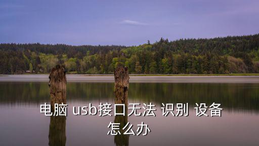  電腦 usb接口無法 識別 設備怎么辦