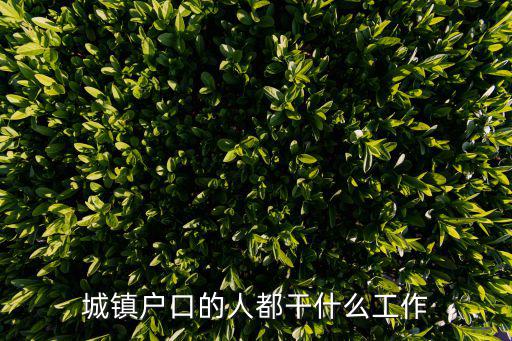 城鎮(zhèn)戶口的人都干什么工作