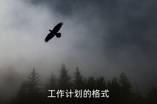 工作計(jì)劃的格式