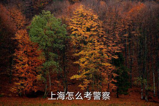 上海怎么考警察