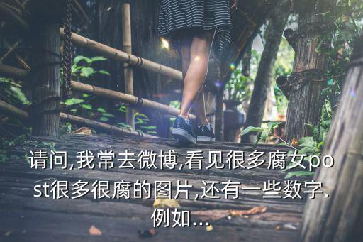 腐圖,pixiv有繁體中文版但不會有圖片標題標簽翻譯