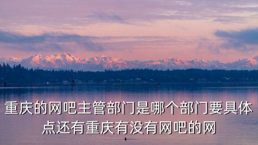 重慶的網吧主管部門是哪個部門要具體點還有重慶有沒有網吧的網