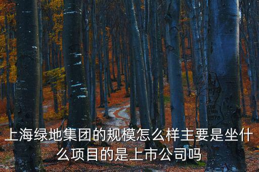上海市中環綠地，上海綠地集團的規模怎么樣主要是坐什么項目的是上市公司嗎