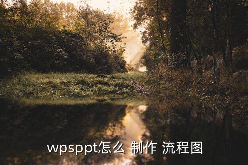 wps流程圖怎么制作,流程圖制作過程