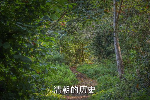 清朝的歷史