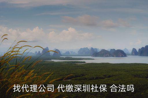 代扣代繳社保合法嗎，歡創小寶代繳社保合法嗎