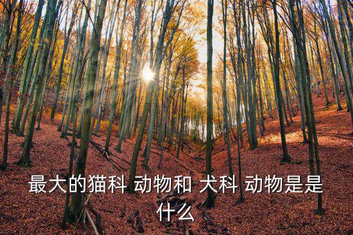 最大的貓科 動物和 犬科 動物是是什么