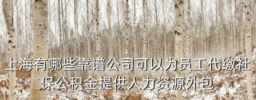 上海有哪些靠譜公司可以為員工代繳社保公積金提供人力資源外包