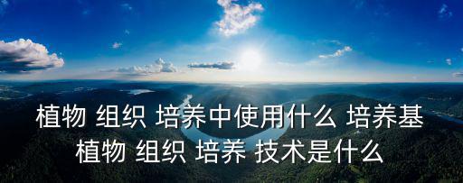 植物 組織 培養中使用什么 培養基植物 組織 培養 技術是什么
