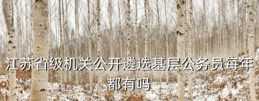 江蘇省遴選公告，在哪些網(wǎng)站能看到我們省選拔領(lǐng)導(dǎo)干部公告
