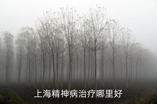 上海精神病治療哪里好