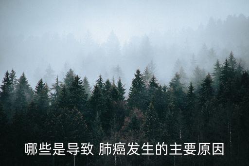 哪些是導致 肺癌發生的主要原因