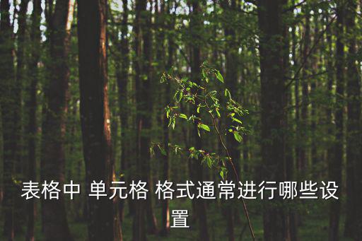單元格格式,如何設(shè)置單元網(wǎng)格?