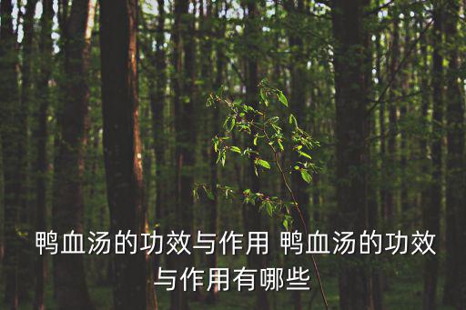  鴨血湯的功效與作用 鴨血湯的功效與作用有哪些