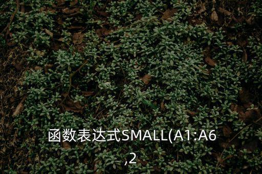  函數(shù)表達式SMALL(A1:A6,2