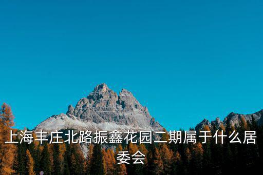 上海豐莊北路振鑫花園二期屬于什么居委會(huì)