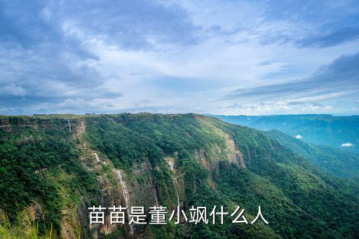 苗苗是董小颯什么人