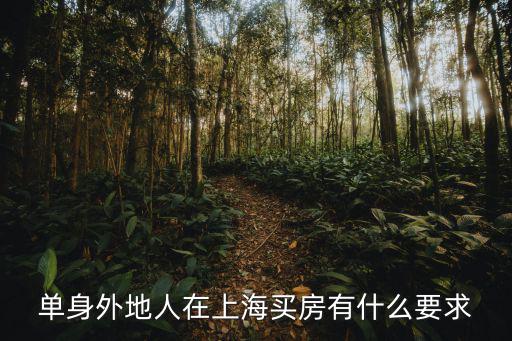 上海單身戶籍購房政策，上海戶籍單身限購政策