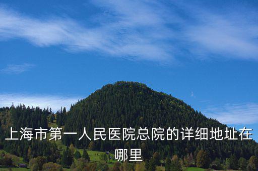 上海第一人民醫(yī)院南院地址，上海市第一人民醫(yī)院總院的詳細(xì)地址在哪里