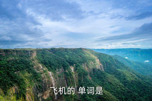  飛機的 單詞是