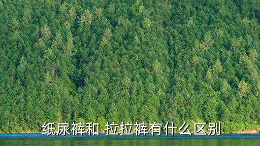  紙尿褲和 拉拉褲有什么區別