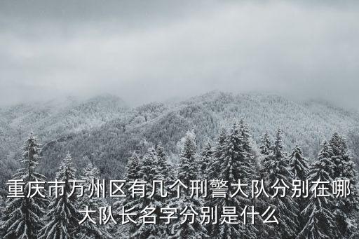 掃惡除霸重慶市名單，重慶最新相關信息