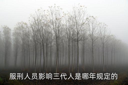 一人坐牢三代不能從政，強奸犯三代不能入黨做官嗎